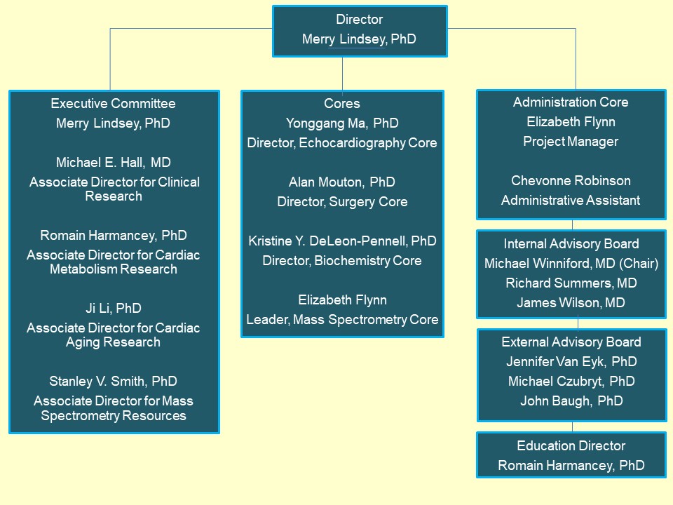 mchr-org-chart.jpg